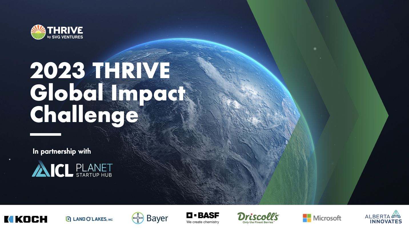 Global Impact Challenge 2023